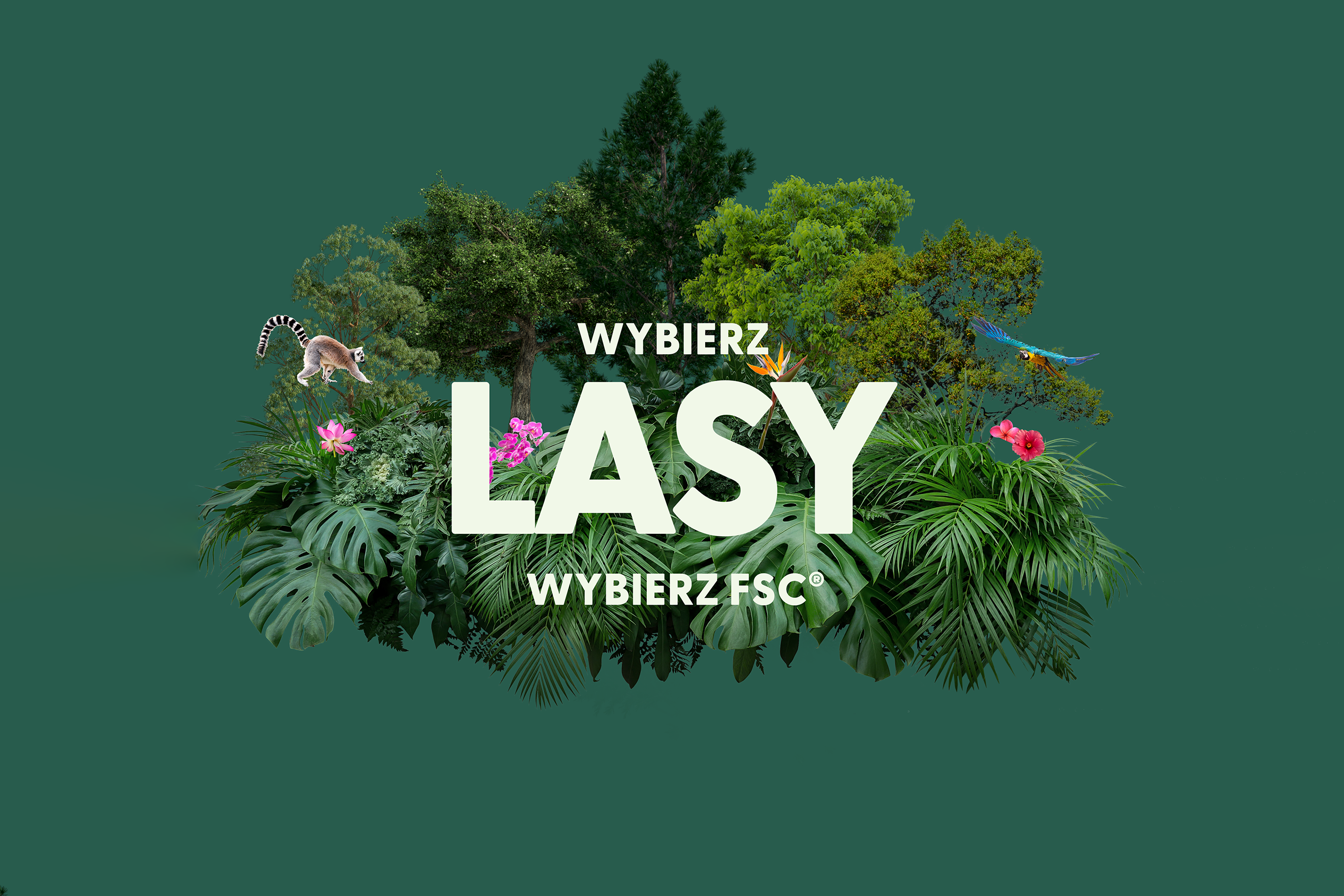 fsc, piątek fsc, tydzień lasów 2022