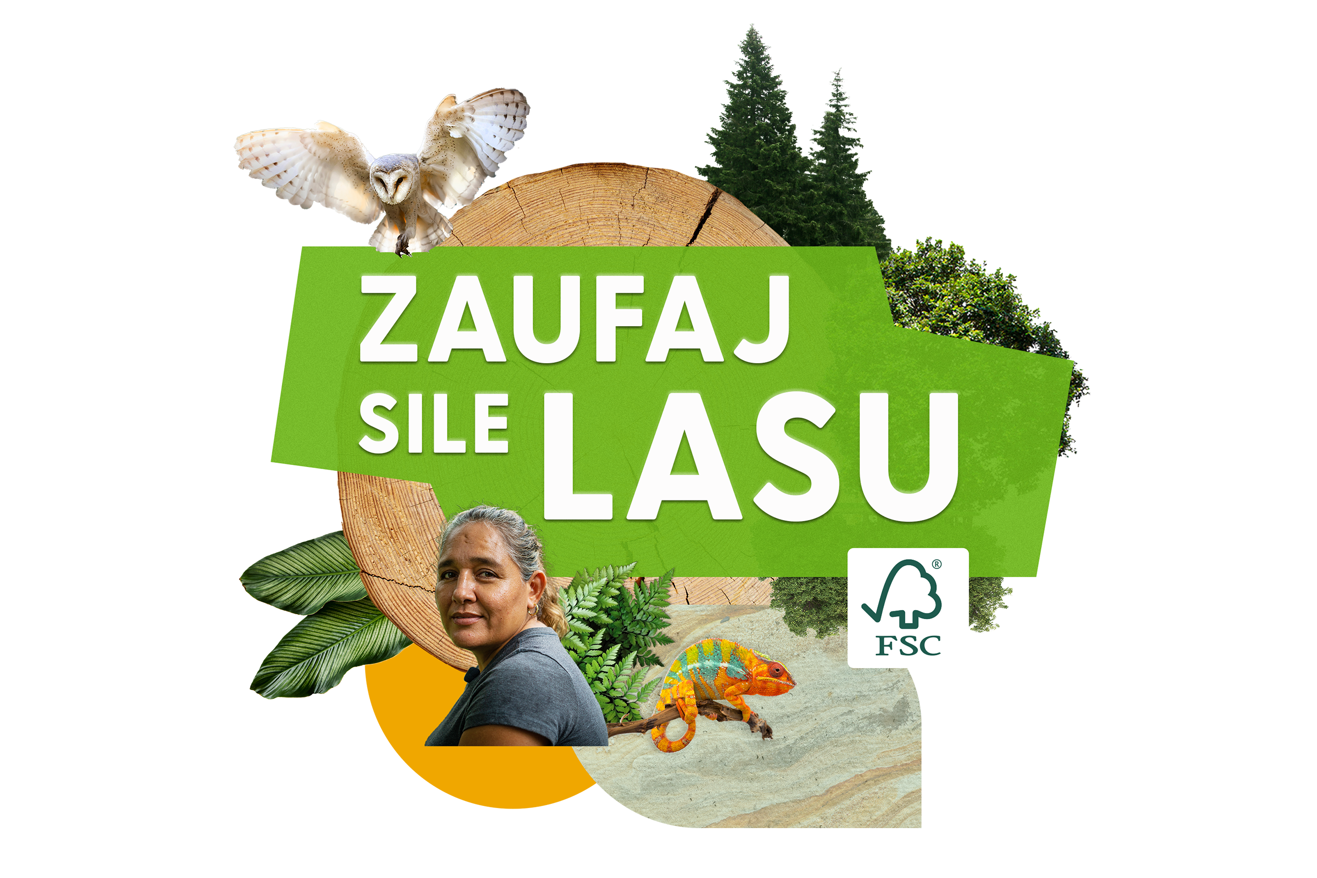 tydzień lasów fsc, fsc, certyfikat, lasy, ekologia